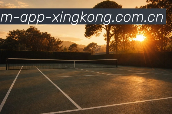 关于星空娱乐app安卓版下载