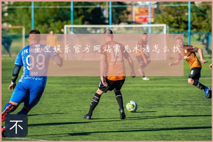 星空娱乐官方网站常见术语怎么找